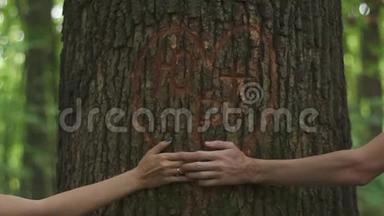 温柔的爱的时刻。 在一棵树上刻着一颗心的背景上，亲密地牵着年轻的恋人的手。